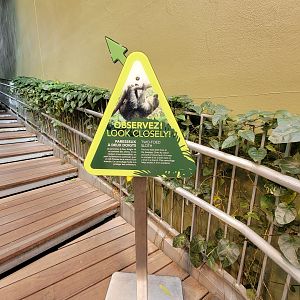 Biodôme Montréal - Tropical Rainforest - Sloth sign, never found a sloth