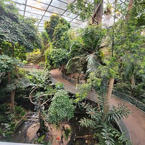 Biodôme Montréal - Tropical Rainforest - From ramp to second floor