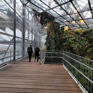 Biodôme Montréal - Tropical Rainforest - Top of ramp to second floor