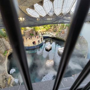 Biodôme Montréal - Second Floor - Gulf of St. Lawrence from above