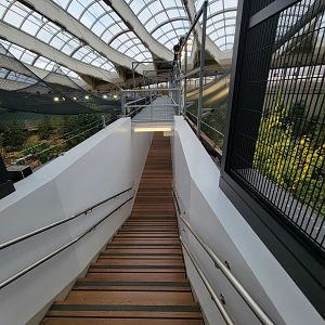 Biodôme Montréal - Second Floor - Steps/ramp from second floor to Gulf of St. Lawrence