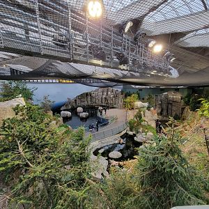 Biodôme Montréal - Gulf of St. Lawrence - From second floor