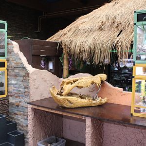 Spider-tanks and decoration