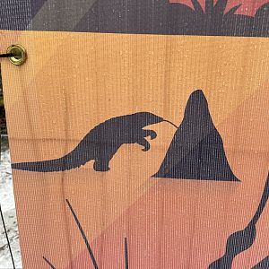 Heart of Africa banner