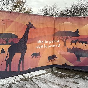 Heart of Africa banner