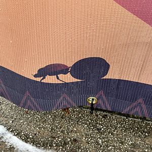 Heart of Africa banner