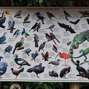 Updated signage free-ranging species in Bush