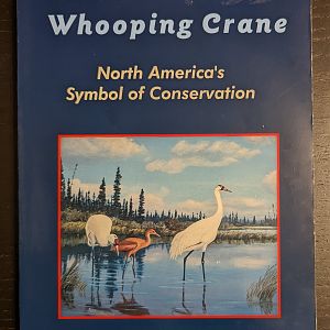 The Whooping Crane: North America's Symbol of Conservation