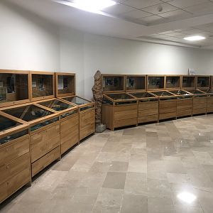 Interactive Specimens for the visually impaired at MTA Natural History Museum