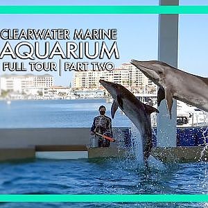 Clearwater Marine Aquarium | Full Tour | PART TWO