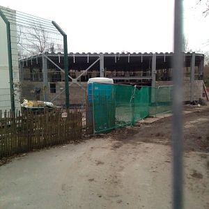 New lion/tiger house