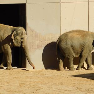 Trong Nhi and Nhi Linh