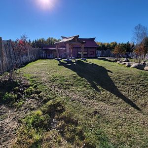 Miller Zoo - Malayan Tapirs