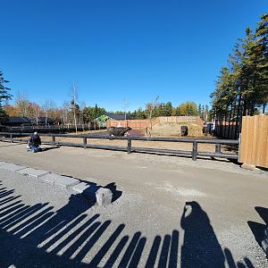 Miller Zoo - Waterbuffalo