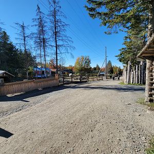 Miller Zoo - Main path, farm animals on the left