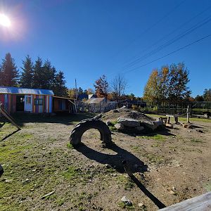 Miller Zoo - Domestic sheep, goats, and rabbits