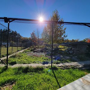 Miller Zoo - Kodiak bears