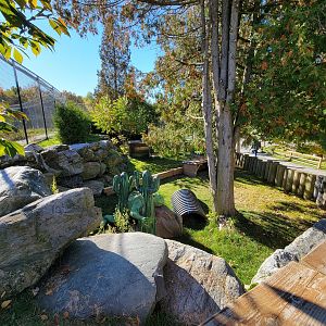Miller Zoo - Iguana home in warmer weather, I assume