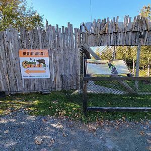 Miller Zoo - American black bears