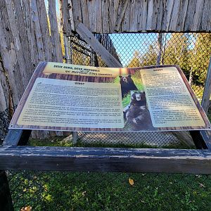 Miller Zoo - American black bears