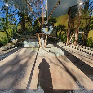 Miller Zoo - Baboon building