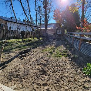 Miller Zoo - Signed for red river hogs