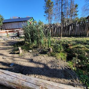 Miller Zoo - Signed for red river hogs