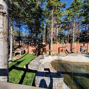 Miller Zoo - Domestic waterfowl yard