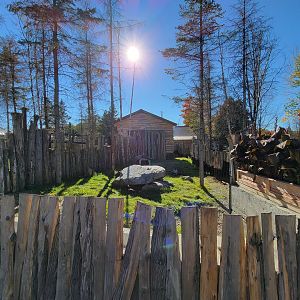 Miller Zoo - Signed for cape porcupine