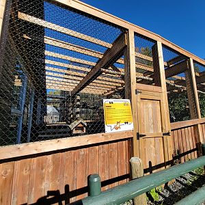 Miller Zoo - Pavillon Exotique, tamandua outdoor yard