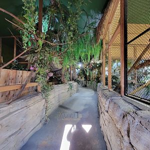 Miller Zoo - Pavillon Exotique