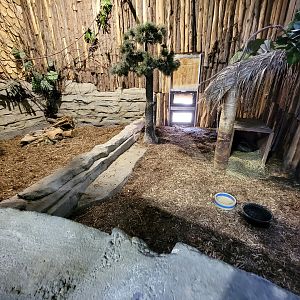 Miller Zoo - Pavillon Exotique, unsigned giant anteater