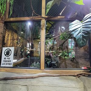 Miller Zoo - Pavillon Exotique, sulcata tortoise