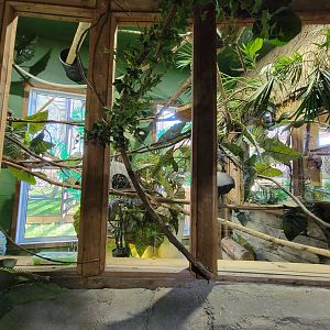 Miller Zoo - Pavillon Exotique, primate area