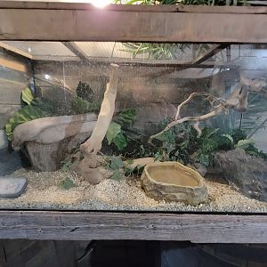 Miller Zoo - Pavillon Exotique, unsigned and unseen herp tank