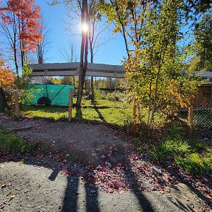 Miller Zoo - Back of American black bear exhibit