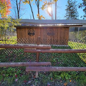 Miller Zoo - Back of American black bear exhibit