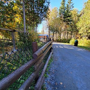 Miller Zoo - Path past gray wolves