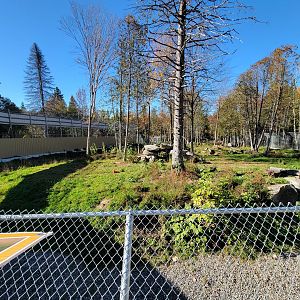 Miller Zoo - Spotted hyenas