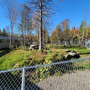 Miller Zoo - Spotted hyenas