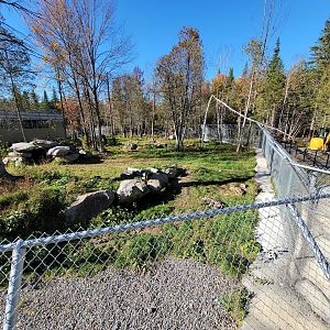 Miller Zoo - Spotted hyenas, construction to the right