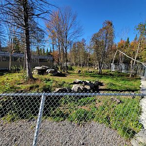 Miller Zoo - Spotted hyenas