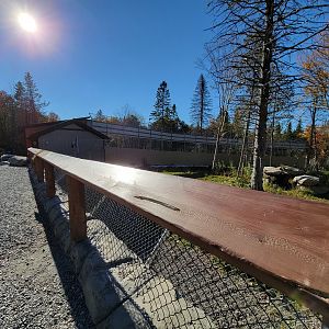 Miller Zoo - Fence between hyenas and lions