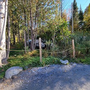 Miller Zoo - Some sort of safari decoration?