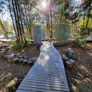 Miller Zoo - Some sort of art feature/walk thing