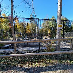 Miller Zoo - New/refurbished? exhibit, unsigned