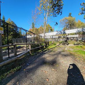 Miller Zoo - Picnic tables by white lion