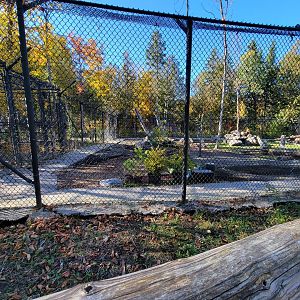 Miller Zoo - New/refurbished? exhibit, unsigned