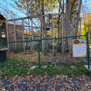 Miller Zoo - Various parrots