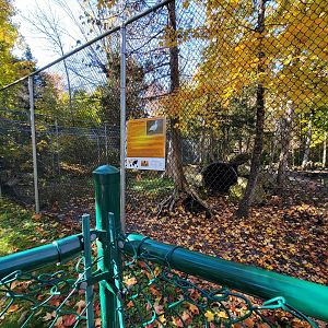 Miller Zoo - Waterfowl aviary